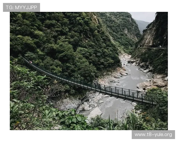 明珠国际:探索最新的娱乐项目和丰富的休闲娱乐资源推荐 明珠国际:探索最新的娱乐项目和丰富的休闲娱乐资源推荐